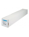 Papier HP Everyday Pigment Ink Satin Photo | 235g | rola 24' | 30.5m - nr 11