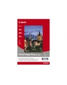 Papier Canon SG201 Photo Paper Plus Semi-glossy | 260g | A4 | 20ark - nr 15