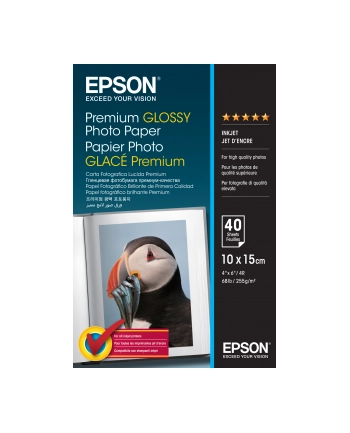 Papier Epson Premium Glossy Photo | 255g | 10x15 | 40ark nr 2