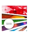 Papier Epson Premium Glossy Photo | 255g | A4 | 15ark - nr 45