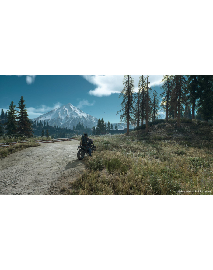 sony Gra PS4 Days Gone PL główny