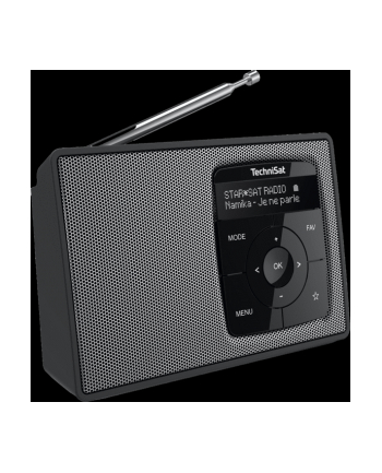 TechniSat DIGITRADIO 2 (black / silver, DAB +, FM, Bluetooth)