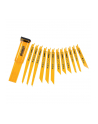 Dewalt Saber saw blade set DT2445 12 pcs - nr 1