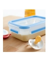 Emsa Clip & Close Food Container Set- Set of 3 - 0.55 / 1.0 / 2.3 L - nr 6