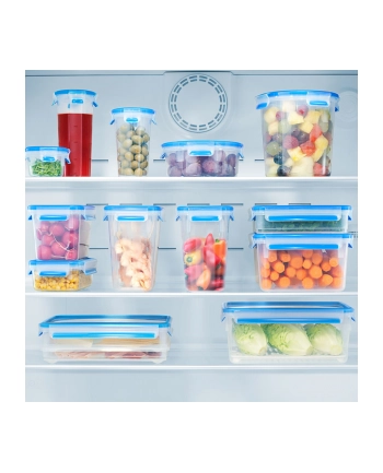 Emsa Clip & Close Food Container Set- Set of 3 - 0.55 / 1.0 / 2.3 L nr 1