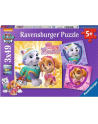 Ravensburger Puzzle PAW: Charming Dog Girl - 080083 - nr 1