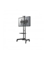 newstar Wózek na monitor LFD z półkami NM-M1700BLACK - nr 18