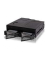 Icy Dock Tough Armor MB602SPO-B, backplane (black, backplane module for 1x 5.25 ''bay) - nr 43