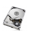 seagate Dysk IronWolf Pro 12 TB 3,5 ST12000NE0008 - nr 12