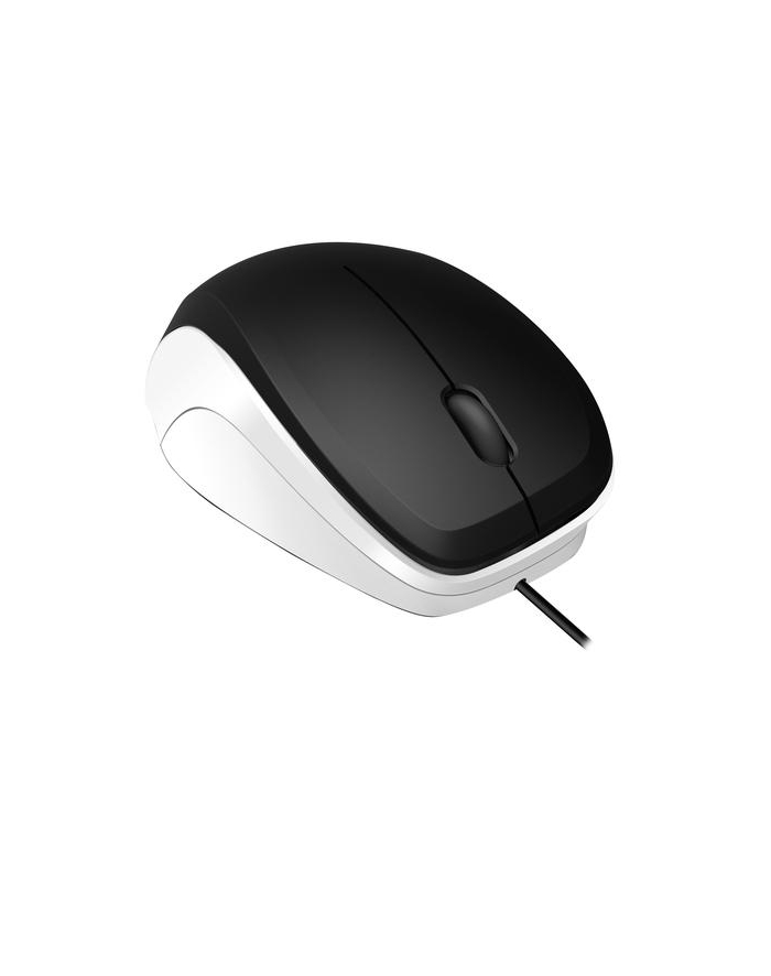 Speedlink LEDGY, mouse (black / white) główny