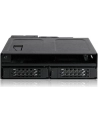 Icy Dock Tough Armor MB602SPO-B, backplane (black, backplane module for 1x 5.25 ''bay) - nr 47