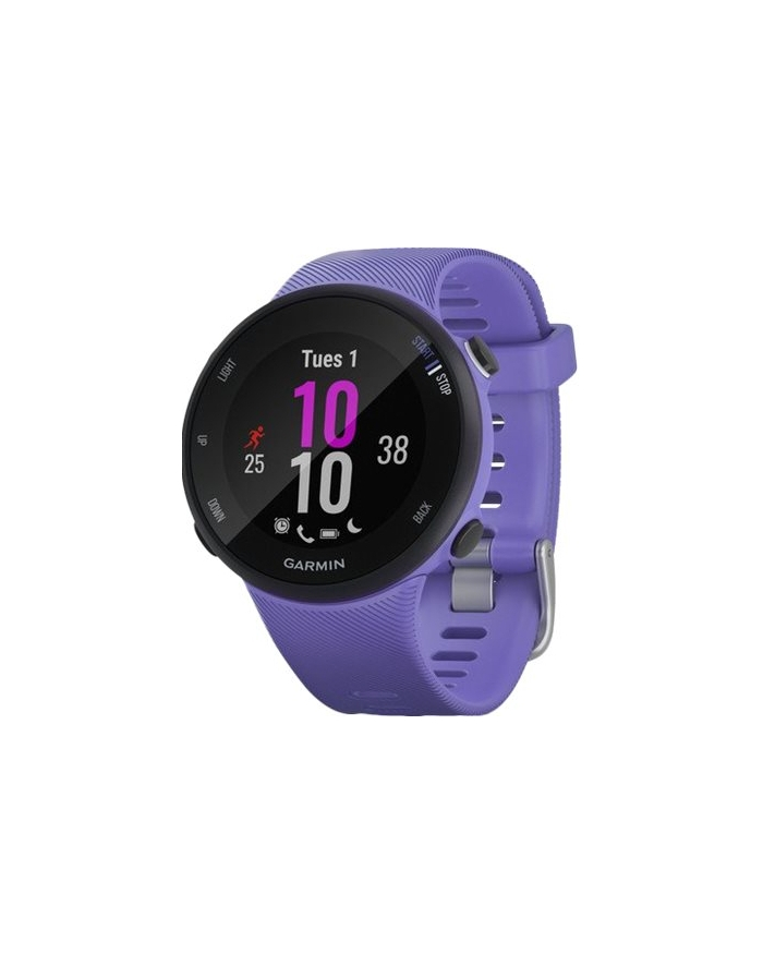Garmin Forerunner 45S (Iris) główny