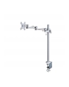 newstar FPMA-D935POLE70 Uchwyt nabiurkowy - nr 1