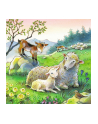 Puzzle 3x49el. Czas przytulania 080298  RAVENSBURGER - nr 8