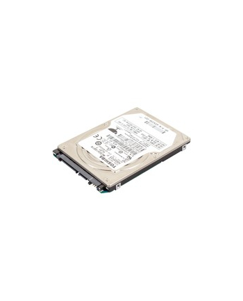 Hewlett Packard Enterprise HDD 250GB 7200Rpm Sata Sgt Hol