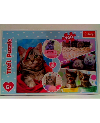 Puzzle 160el Urocze kotki 15371 TREFL