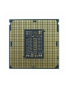 intel Procesor Xeon Silver 4216 TRAY CD8069504213901 - nr 3