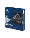 Arctic fan  P12 Silent (black/black) - nr 12