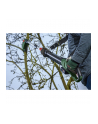 Piła łańcuchowa do cięcia gałęzi BOSCH UniversalChainPole 18 06008B3100 - nr 7