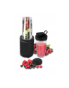 ESPERANZA NUTRI BLENDER 700W  6 W 1 NUTRI SHOT - nr 1