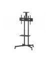 manhattan Stojak mobilny do TV LCD/LED/PDP 37-70cali, 50kg VESA pochylany 2 półki - nr 29