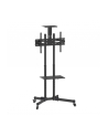 manhattan Stojak mobilny do TV LCD/LED/PDP 37-70cali, 50kg VESA pochylany 2 półki - nr 31