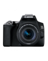 canon Aparat EOS 250D BK + obiektyw 18-55S 3454C002 - nr 33
