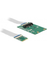 Delock konwerter M.2 Key A+E male > Mini PCI-E - nr 29