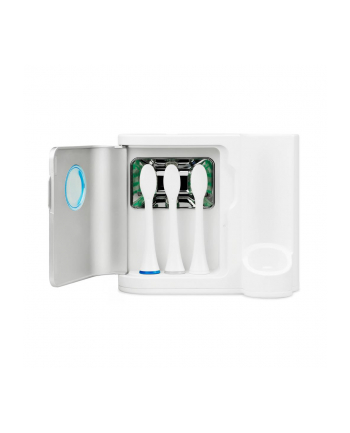 TrueLife Sonic Brush Compact