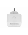 Delock Gniazdko SMART Home Plug WIFI 2,4GHz, 10A, MQTT - nr 19