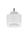 Delock Gniazdko SMART Home Plug WIFI 2,4GHz, 10A, MQTT - nr 24