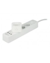 Delock Gniazdko SMART Home Plug WIFI 2,4GHz, 10A, MQTT - nr 25