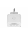 Delock Gniazdko SMART Home Plug WIFI 2,4GHz, 10A, MQTT - nr 31