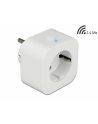 Delock Gniazdko SMART Home Plug WIFI 2,4GHz, 10A, MQTT - nr 34