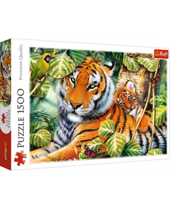 Puzzle 1500el Dwa tygrysy 26159 Trefl