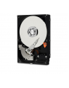 western digital Dysk BLUE 6TB 3,5 256MB SATAIII/5400rpm - nr 51