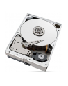 seagate Dysk IronWolf Pro 10 TB 3,5 ST10000NE0008 - nr 21