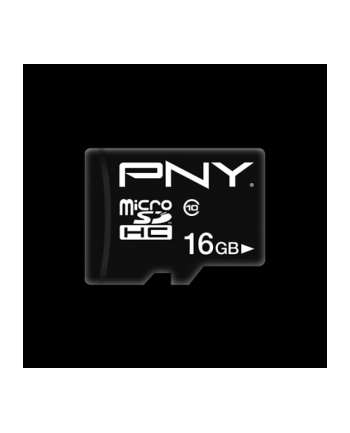 pny Karta pamięci MicroSDXC 16GB P-SDU16G10PPL-GE nr 1