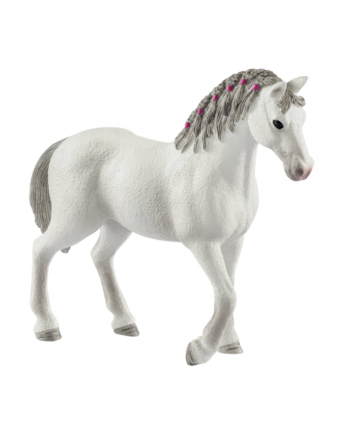 schleich SLH 42486 Odwiedziny weterynarza główny