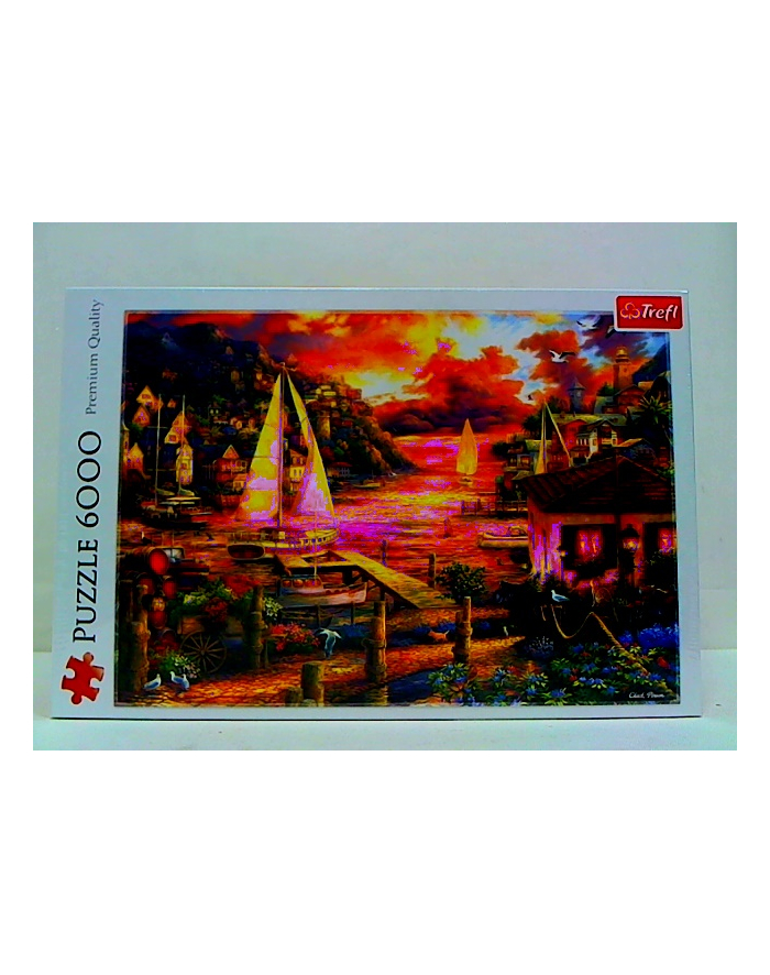 Puzzle 6000el Łapiąc sny 65005 Trefl główny