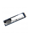 Dysk Kingston SSD A2000 250GB M.2 2280 PCI-e NVMe 2000/1100MB/s - nr 10