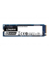Dysk Kingston SSD A2000 250GB M.2 2280 PCI-e NVMe 2000/1100MB/s - nr 23