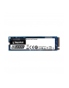 Dysk Kingston SSD A2000 250GB M.2 2280 PCI-e NVMe 2000/1100MB/s - nr 29
