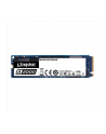 Dysk Kingston SSD A2000 250GB M.2 2280 PCI-e NVMe 2000/1100MB/s - nr 38