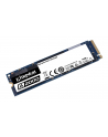Dysk Kingston SSD A2000 250GB M.2 2280 PCI-e NVMe 2000/1100MB/s - nr 71