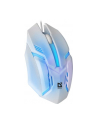 Mysz przewodowa Defender CYBER MB-560L 1200dpi 3P biała - nr 9