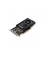 hp inc. Karta graficzna NVIDIA Quadro P2200 5GB (4)DP GFX    6YT67AA - nr 1