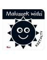 morex Książka Maluszek widzi Kształty - nr 1