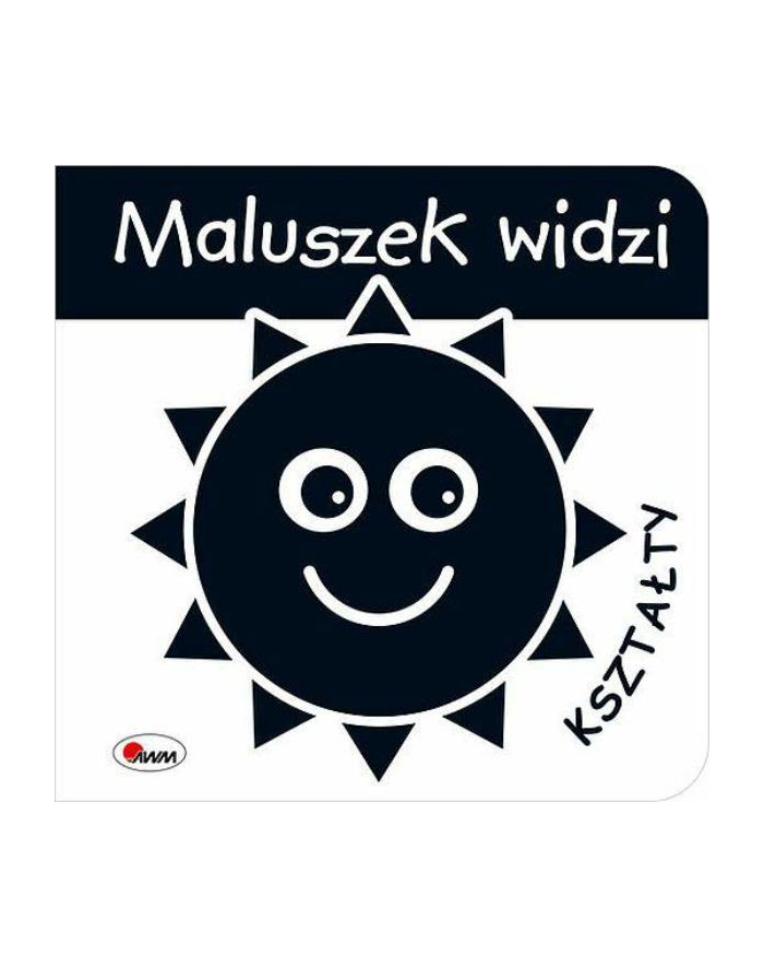 morex Książka Maluszek widzi Kształty główny