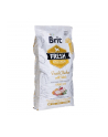 Brit Fresh Chicken Potato Adult Great Life 12kg - nr 1